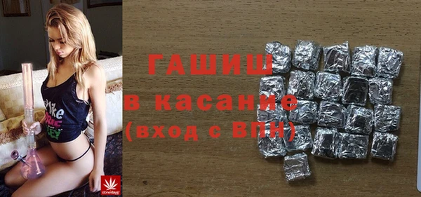 стаф Алексин