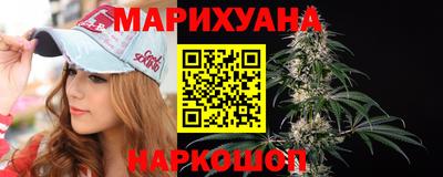 шишки Кингисепп