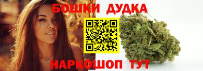 шишки Кингисепп