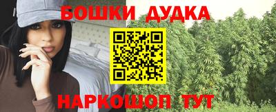 шишки Кингисепп