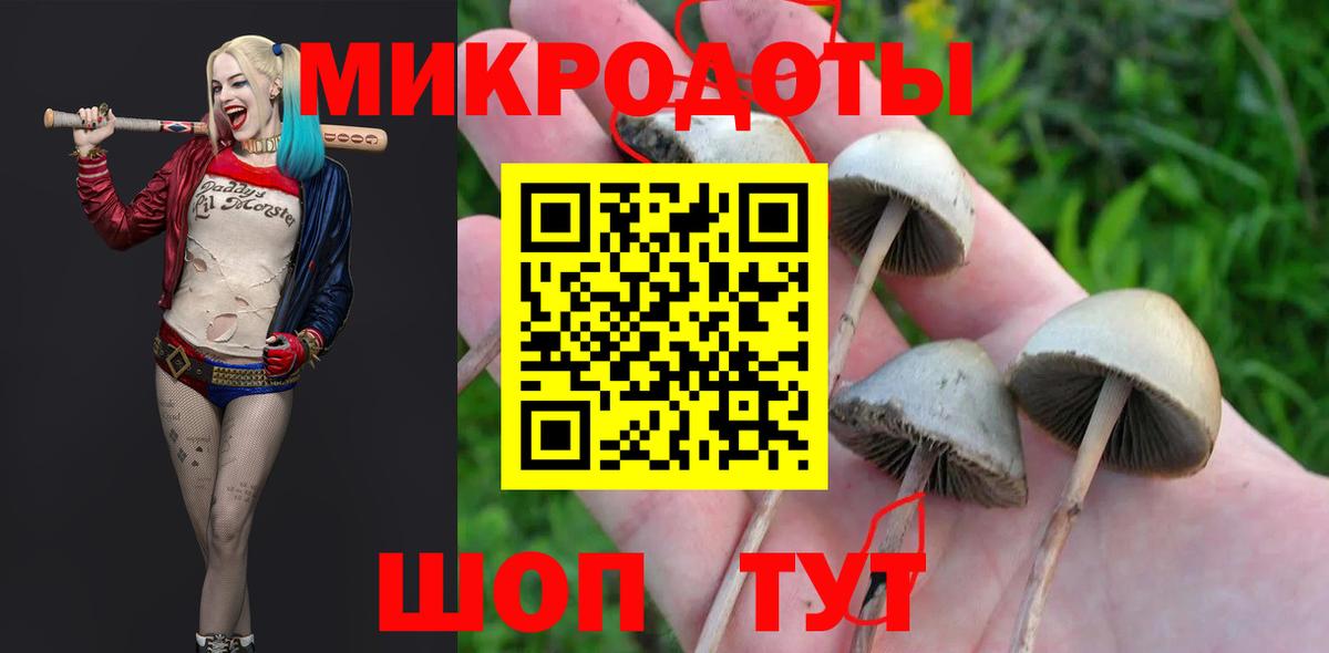 Галлюциногенные грибы ЛСД Сочи