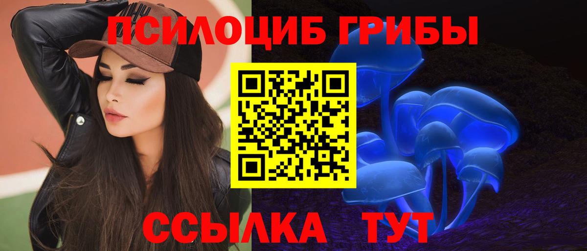 Псилоцибиновые грибы мицелий  Вход с VPN  купить  сайты  Псилоцибиновые грибы Cubensis  Сочи 