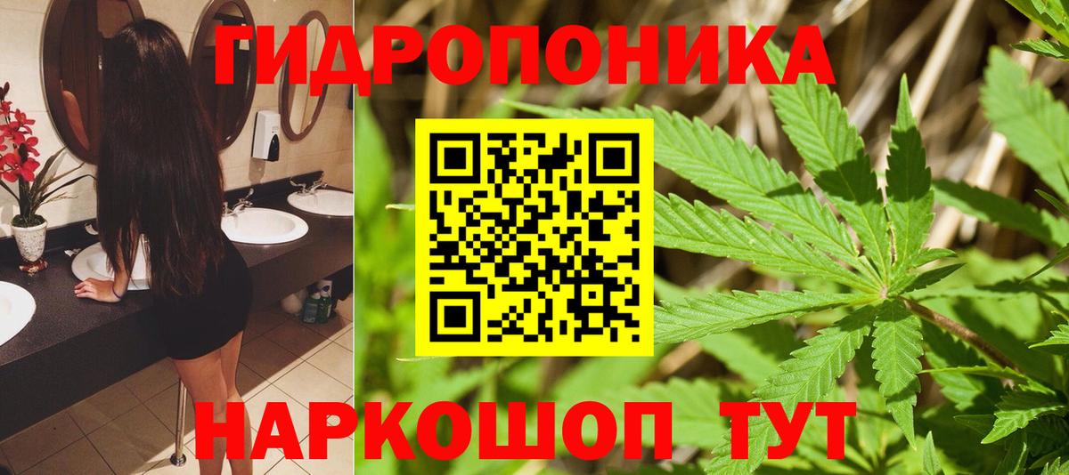 Бошки марихуана планчик Сочи